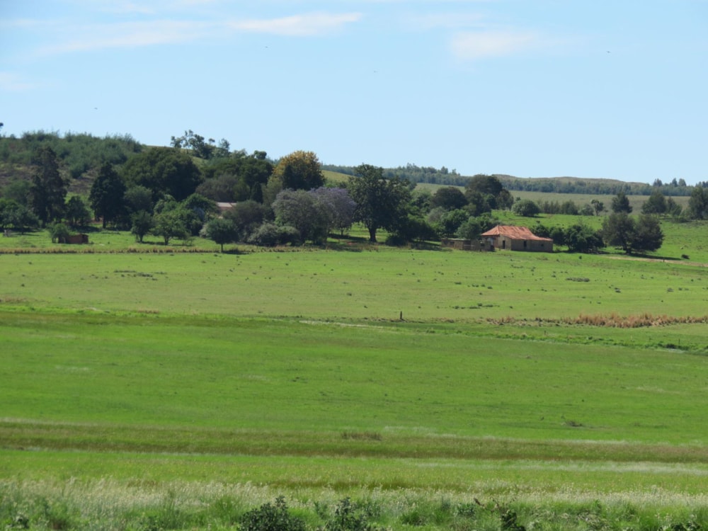 Mixed use farm for sale in Machadodorp Rural - 1DS1510252