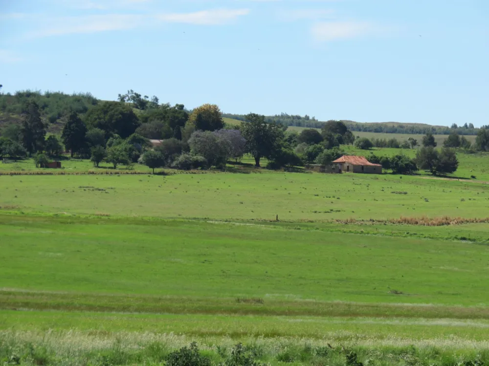 Mixed use farm for sale in Machadodorp Rural - 1DS1510252 Mixed use farm for sale in Machadodorp Rural - 1DS1510252