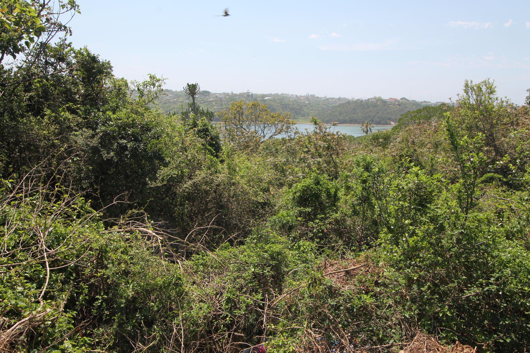 Vacant land for sale in Port Alfred - 1PF1510444