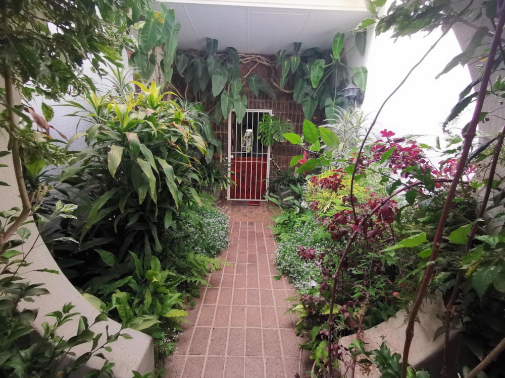 House for sale in Bendor Park - 1PS1507316