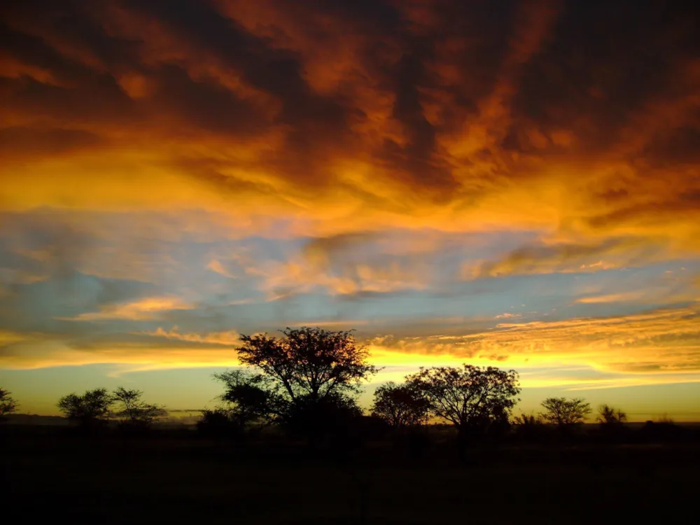 Smallholding for sale in Polokwane - 1PS1563648 Smallholding for sale in Polokwane - 1PS1563648