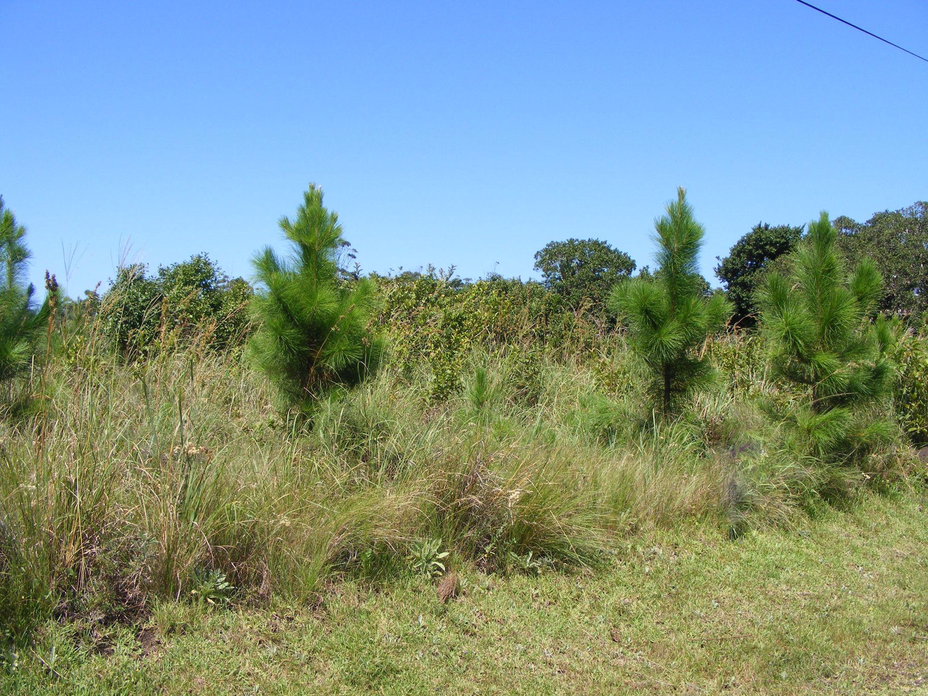 Residential vacant land for sale in Leisure Bay - 1PD1424079