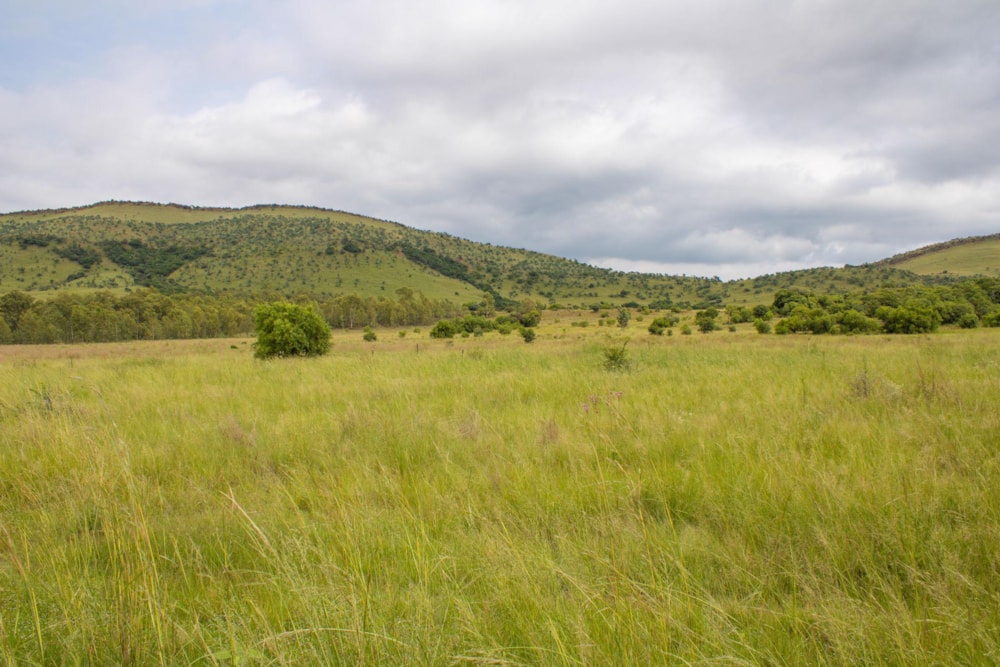 Mixed use farm sold in Broederstroom - 1HR1514263 Mixed use farm sold in Broederstroom - 1HR1514263