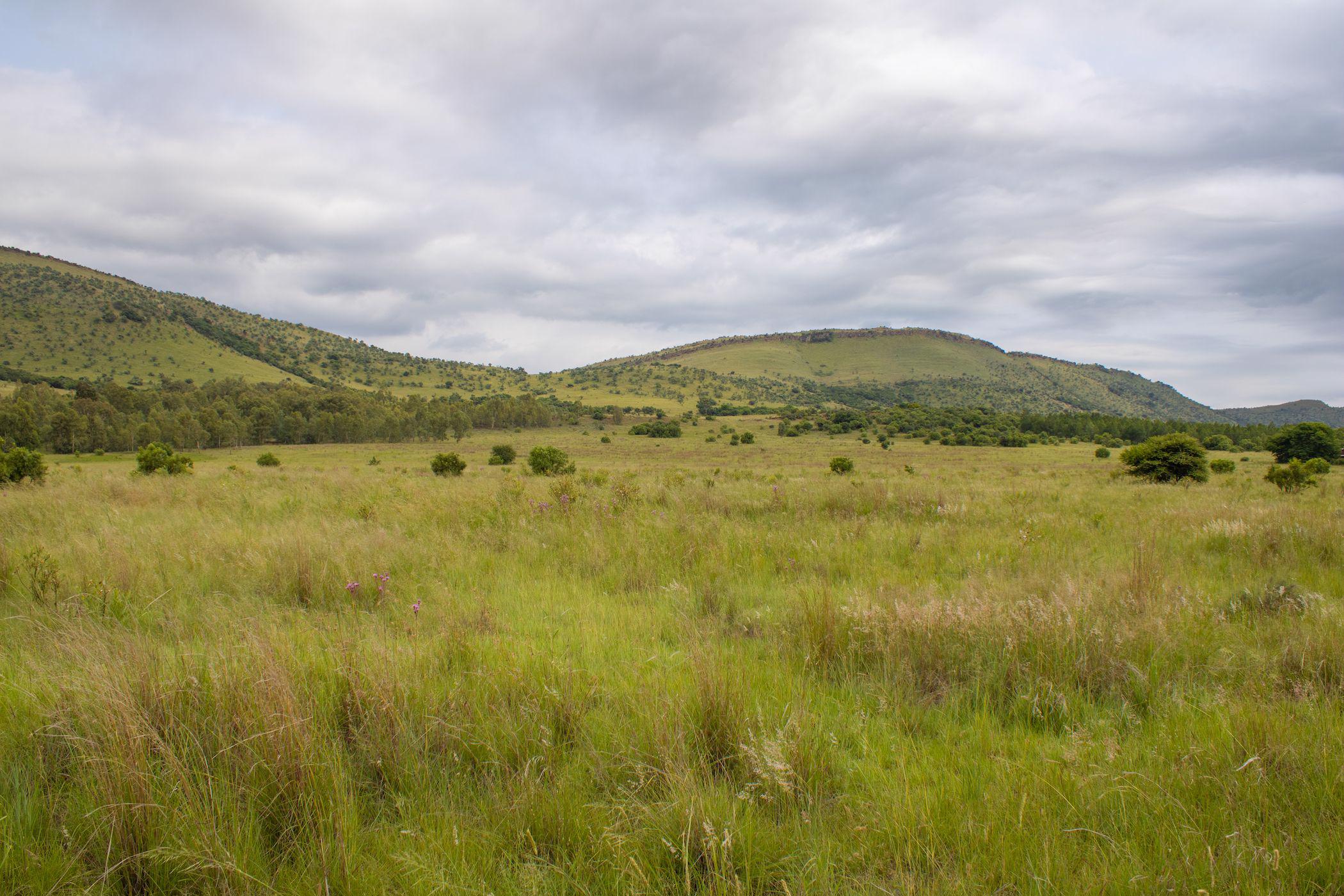 Mixed use farm sold in Broederstroom - 1HR1514263