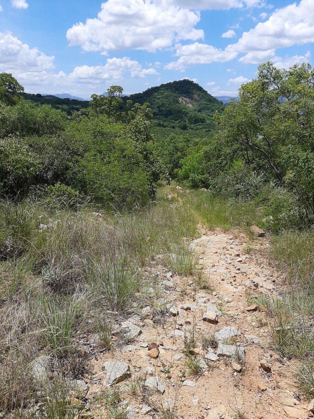 Smallholding for sale in Nelspruit (Mbombela) - 1NS1522564