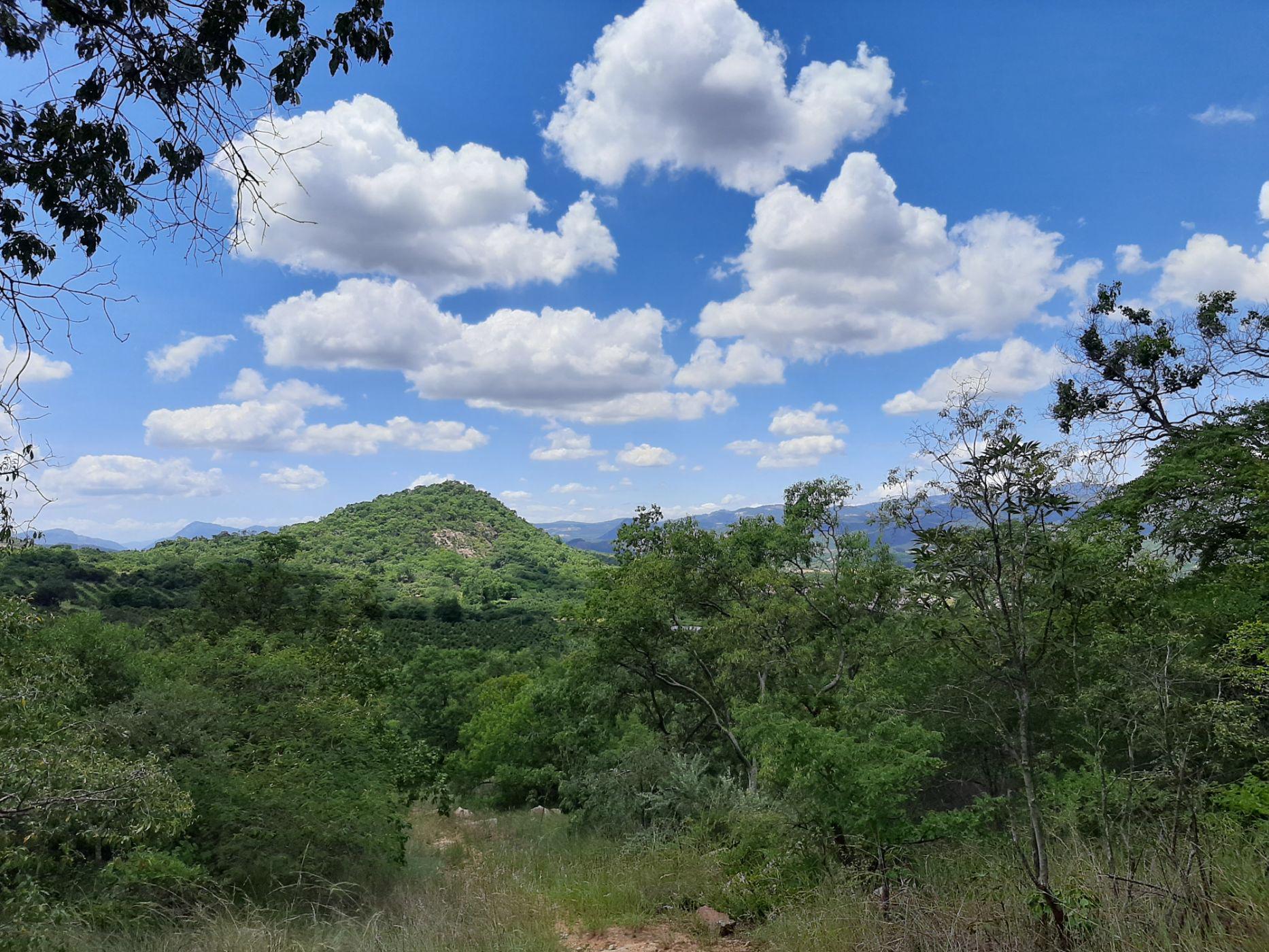 Smallholding for sale in Nelspruit (Mbombela) - 1NS1522564