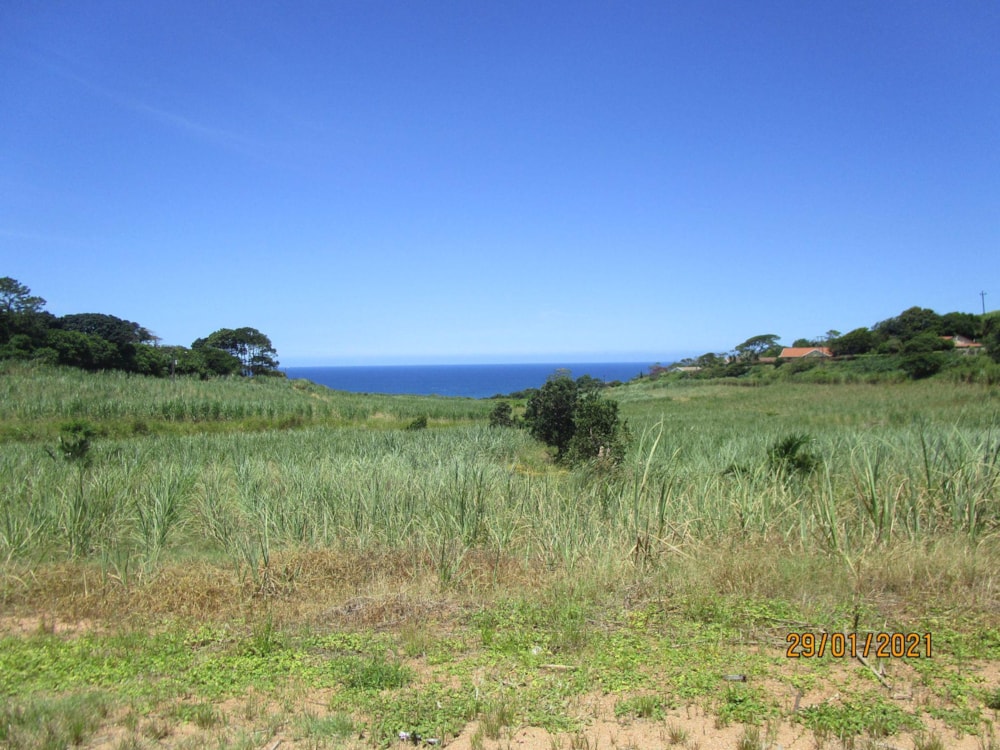 Vacant land for sale in Sezela - 1SI1516391