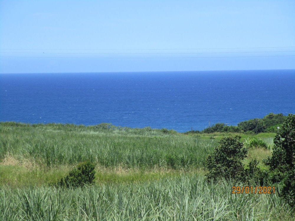 Vacant land for sale in Sezela - 1SI1516391
