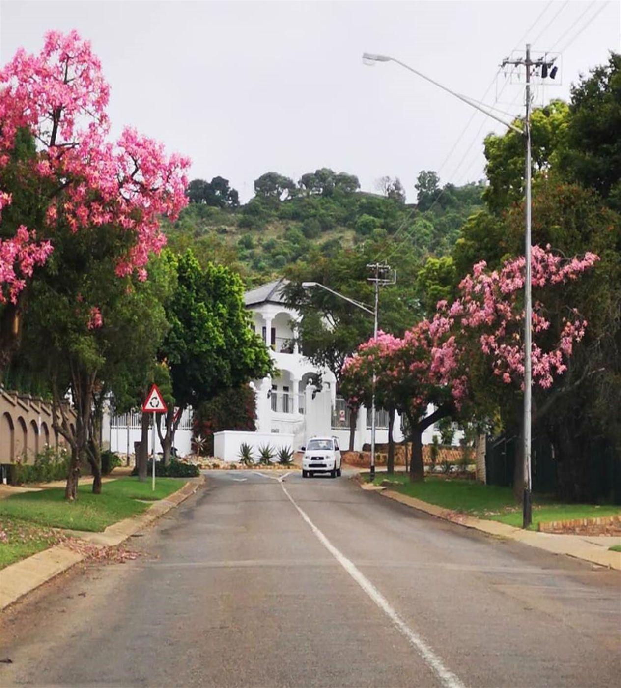 Guesthouse for sale in Groenkloof - PT1565380