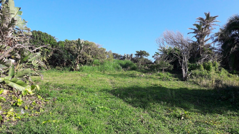 House for sale in Park Rynie - 1si1516385 House for sale in Park Rynie - 1si1516385