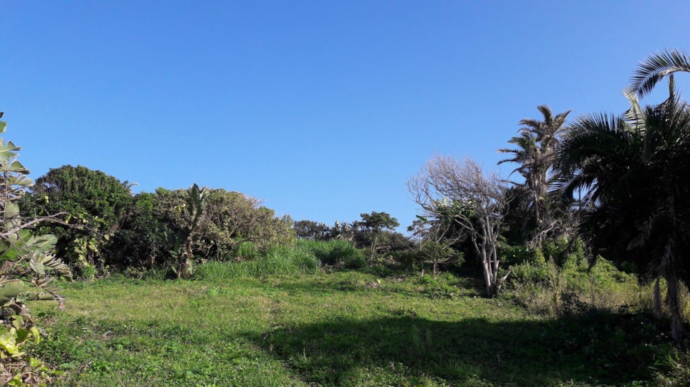 House for sale in Park Rynie - 1si1516385 House for sale in Park Rynie - 1si1516385