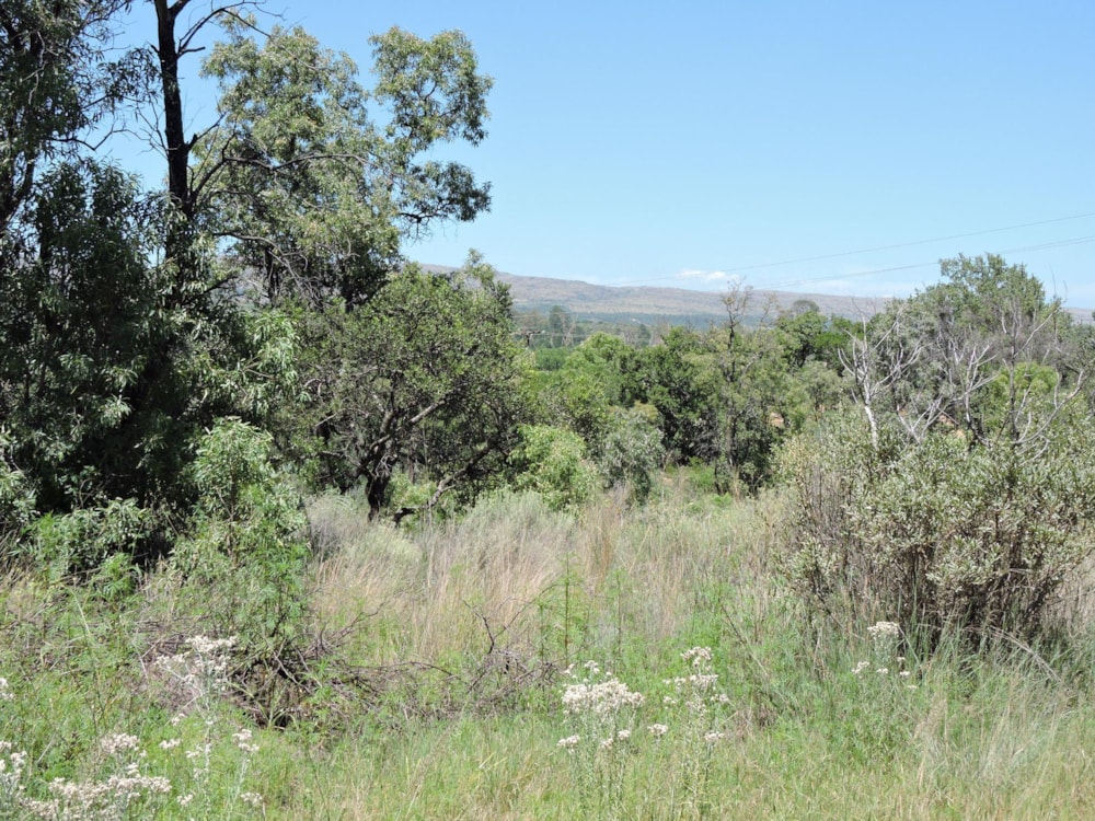 Mixed use farm for sale in Rustenburg - 1RU1519035 Mixed use farm for sale in Rustenburg - 1RU1519035