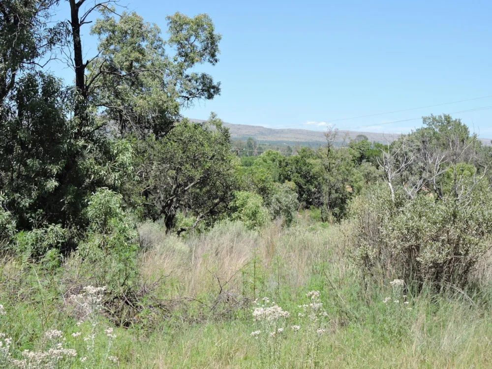 Mixed use farm for sale in Rustenburg - 1RU1519035 Mixed use farm for sale in Rustenburg - 1RU1519035