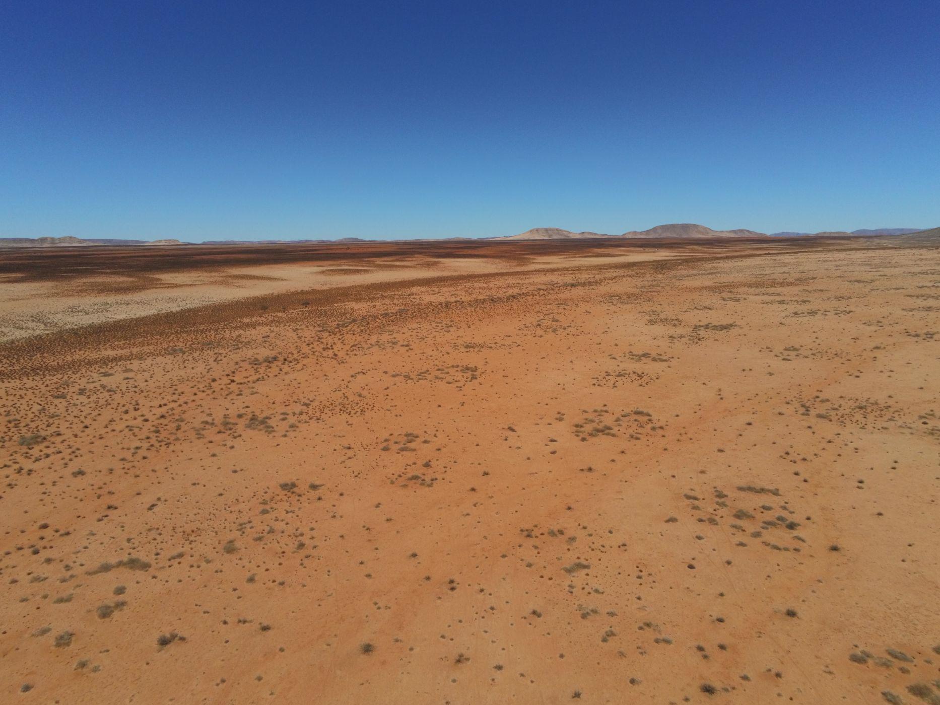 Livestock farm sold in Springbok Farms - 1NA1519647