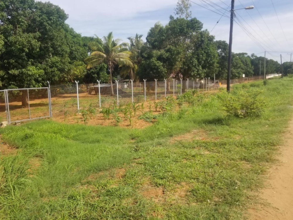 Vacant land for investment in Pemba, Cabo Delgado, Mozambique - 3MQ1522626