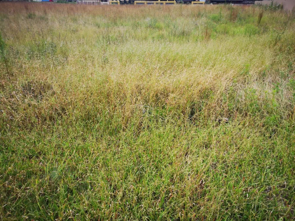 Vacant land for sale in Middelburg (Mpumalanga) - 1MD1520485