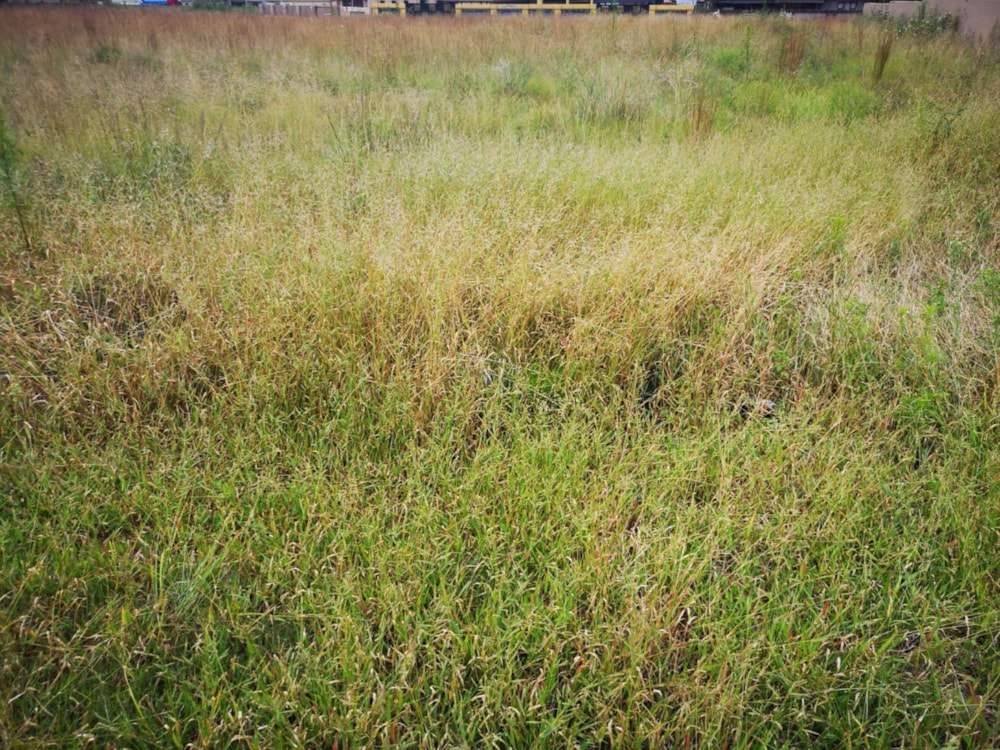 Vacant land for sale in Middelburg (Mpumalanga) - 1MD1520485