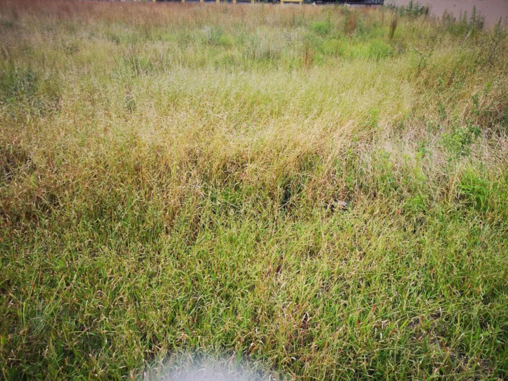 Vacant land for sale in Middelburg (Mpumalanga) - 1MD1520485