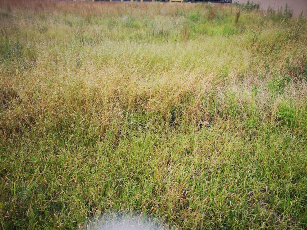 Vacant land for sale in Middelburg (Mpumalanga) - 1MD1520485