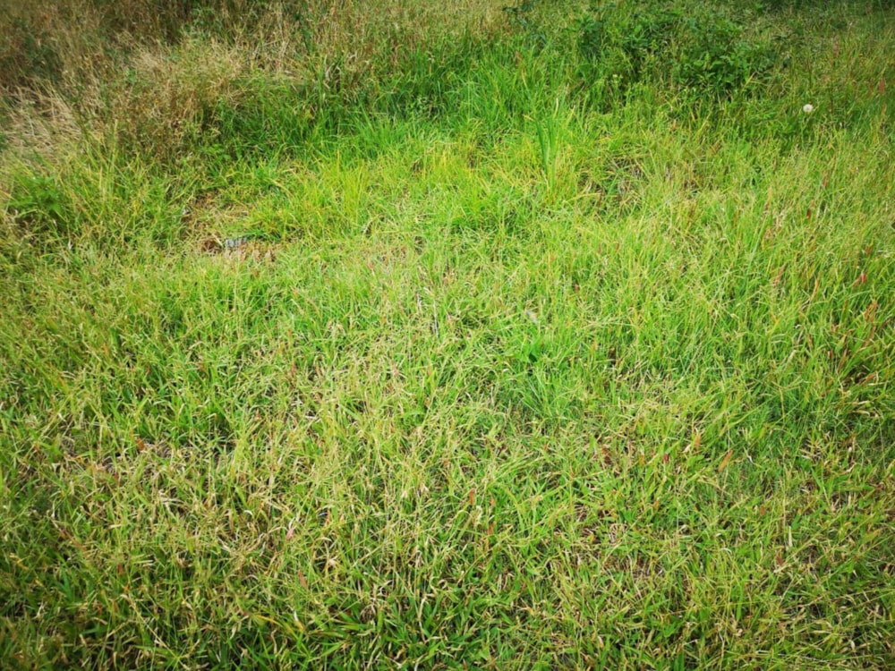 Vacant land for sale in Middelburg (Mpumalanga) - 1MD1520485