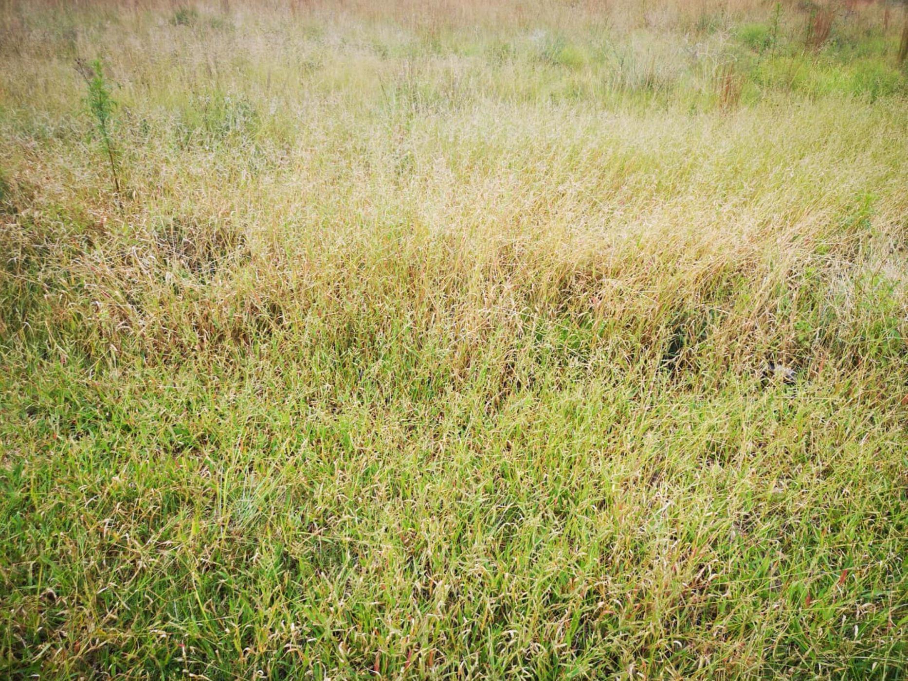 Vacant land for sale in Middelburg (Mpumalanga) - 1MD1520485