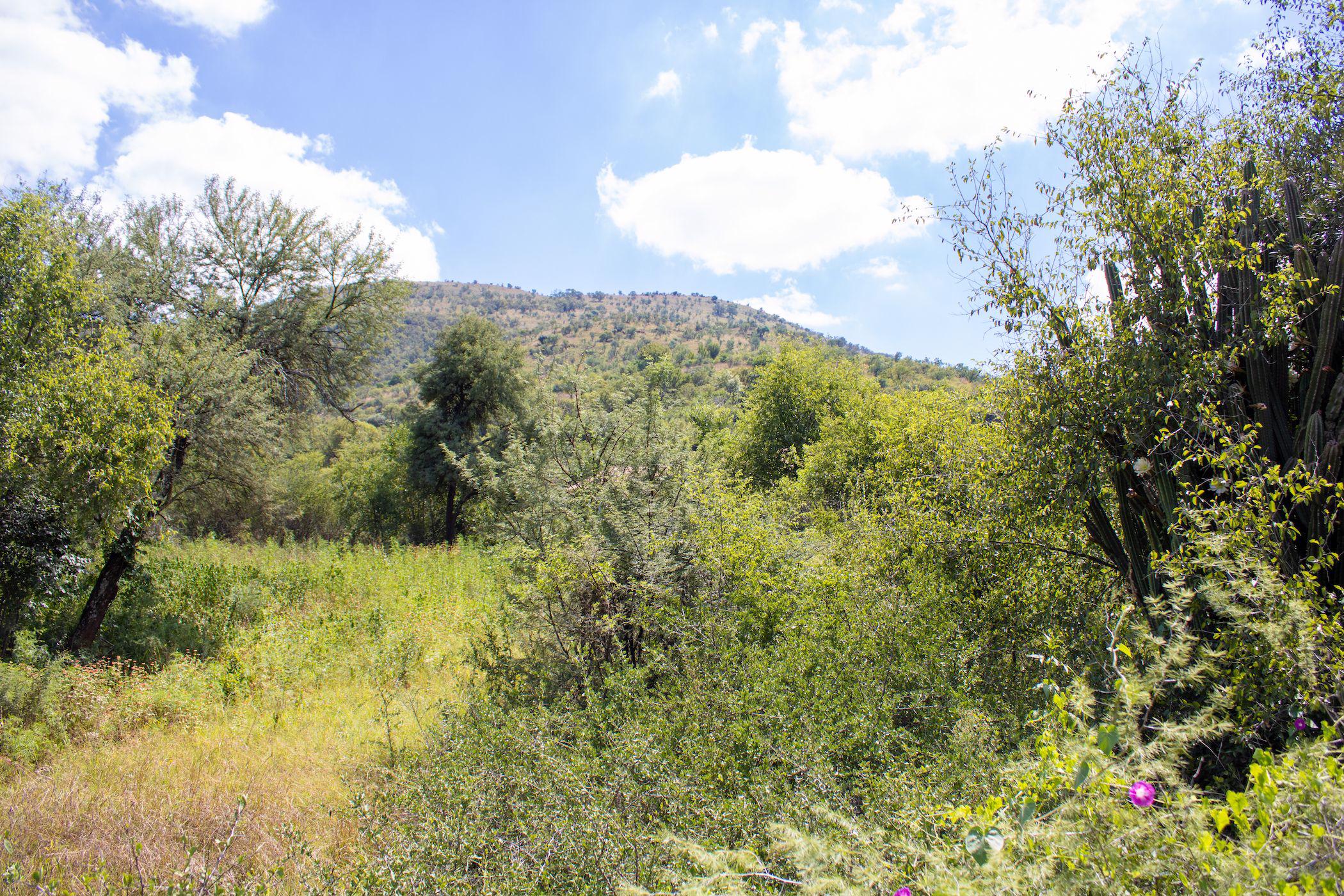 Residential vacant land for sale in Estate D Afrique - 1HR1520845