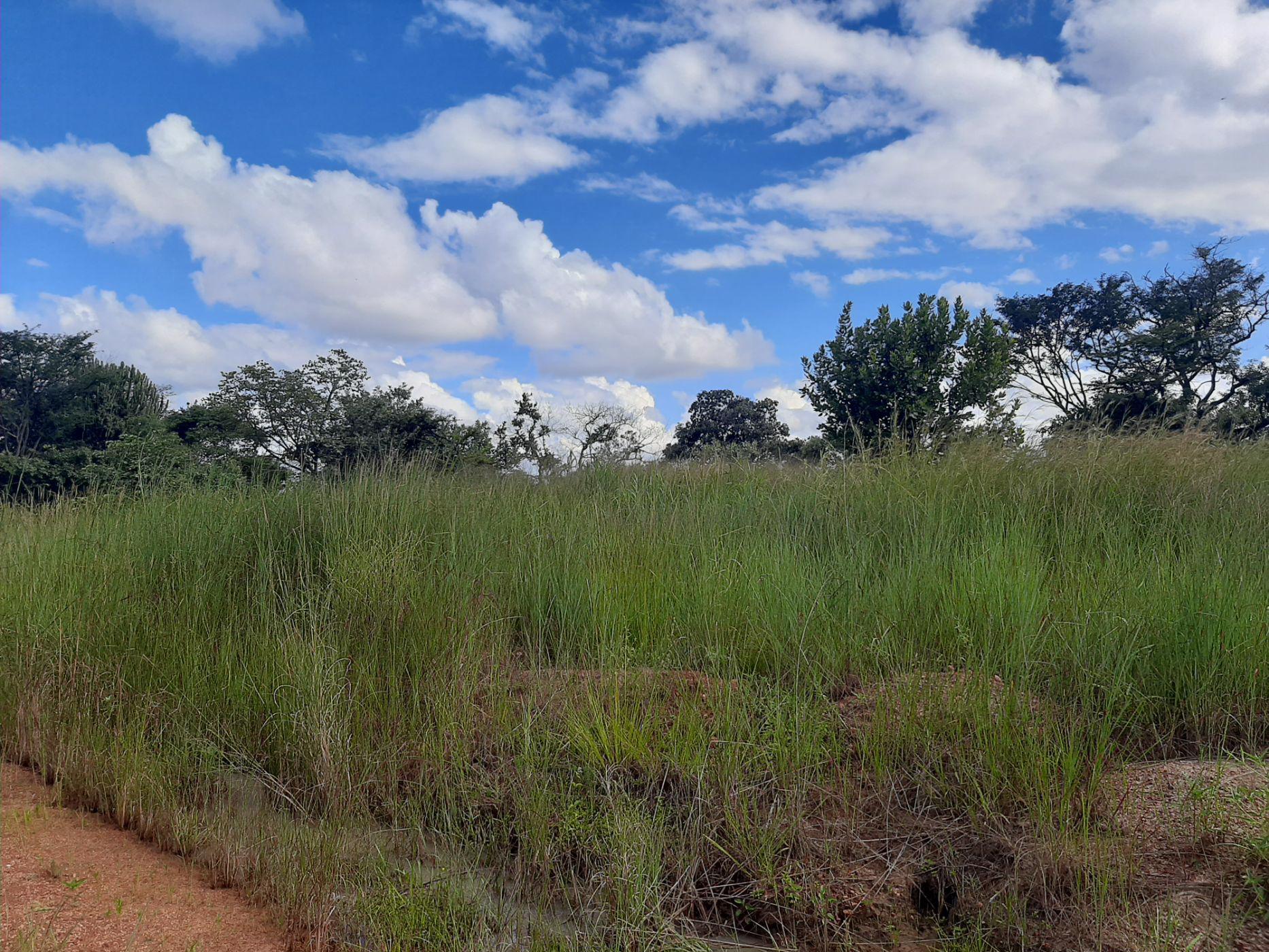 Vacant land for sale in Chisamba, Zambia - 3ZA1522106