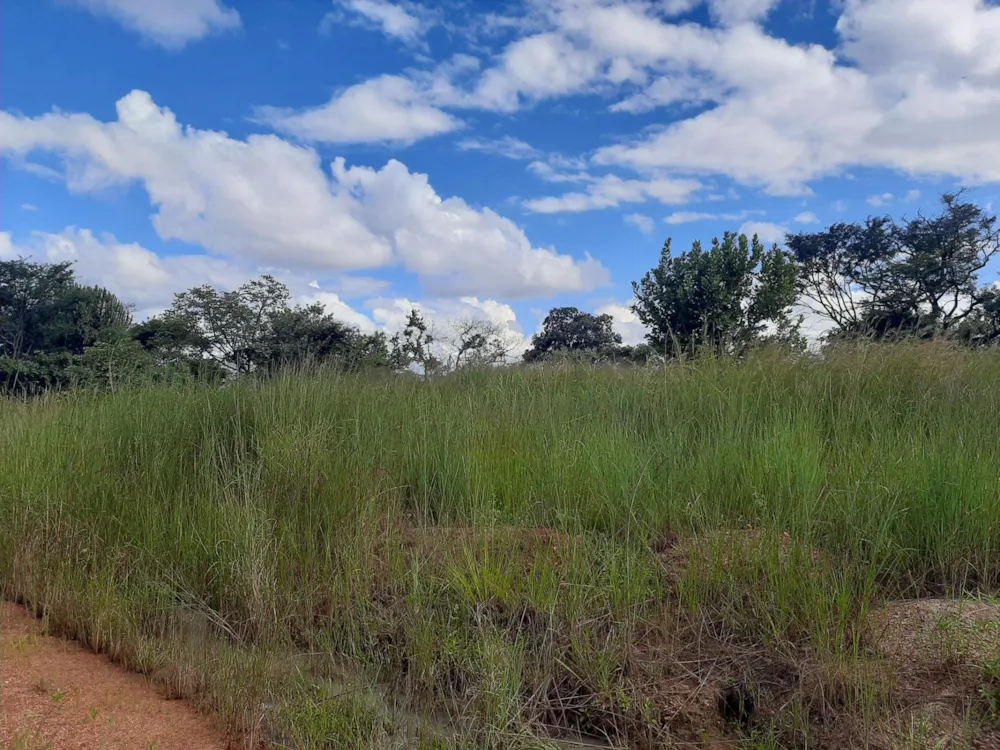 Vacant land for sale in Chisamba, Zambia - 3ZA1522106