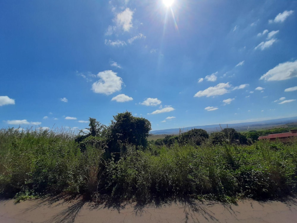 Residential vacant land for sale in Signal Hill, Newcastle - 1NW1523087