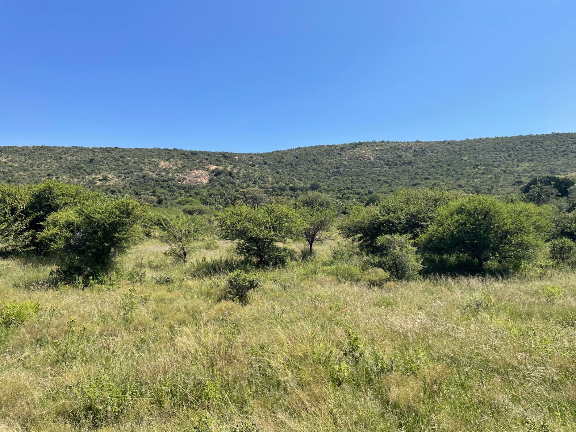 Mixed use farm sold in Haenertsburg - 1PS1524737