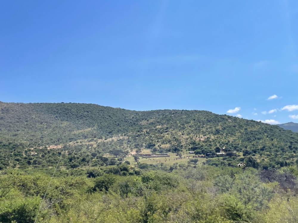 Mixed use farm sold in Haenertsburg - 1PS1524737 Mixed use farm sold in Haenertsburg - 1PS1524737