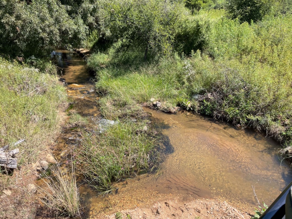 Mixed use farm sold in Haenertsburg - 1PS1524737 Mixed use farm sold in Haenertsburg - 1PS1524737