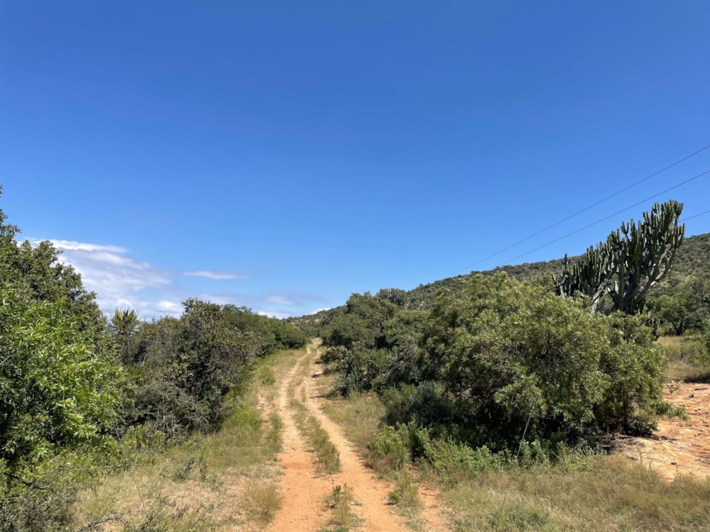 Mixed use farm sold in Haenertsburg - 1PS1524737 Mixed use farm sold in Haenertsburg - 1PS1524737