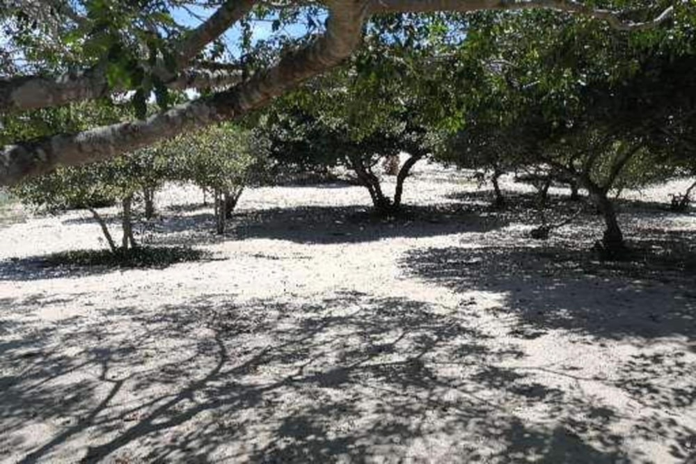 Vacant land for investment in Praia de Macaneta, Mozambique - 3MQ1523545 Vacant land for investment in Praia de Macaneta, Mozambique - 3MQ1523545