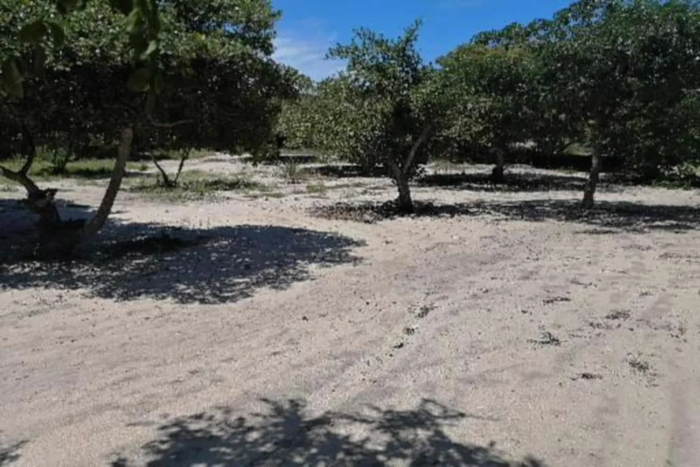 Vacant land for investment in Praia de Macaneta, Mozambique - 3MQ1523545 Vacant land for investment in Praia de Macaneta, Mozambique - 3MQ1523545
