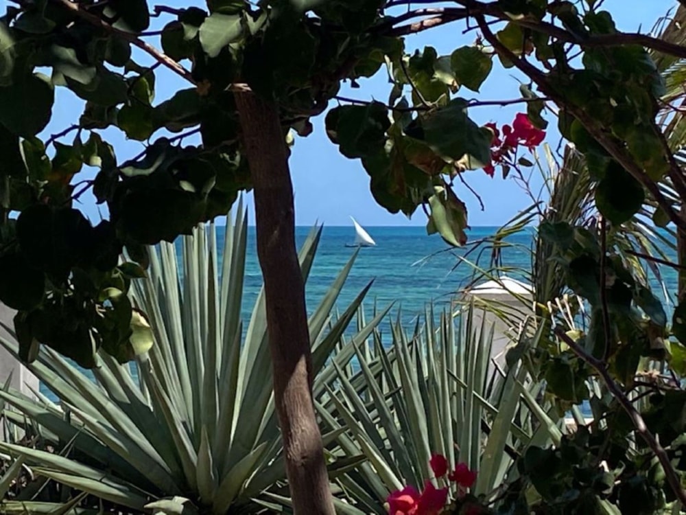 Beachfront villa for sale in Ilha de Moçambique, Mozambique - 3MQ1623859