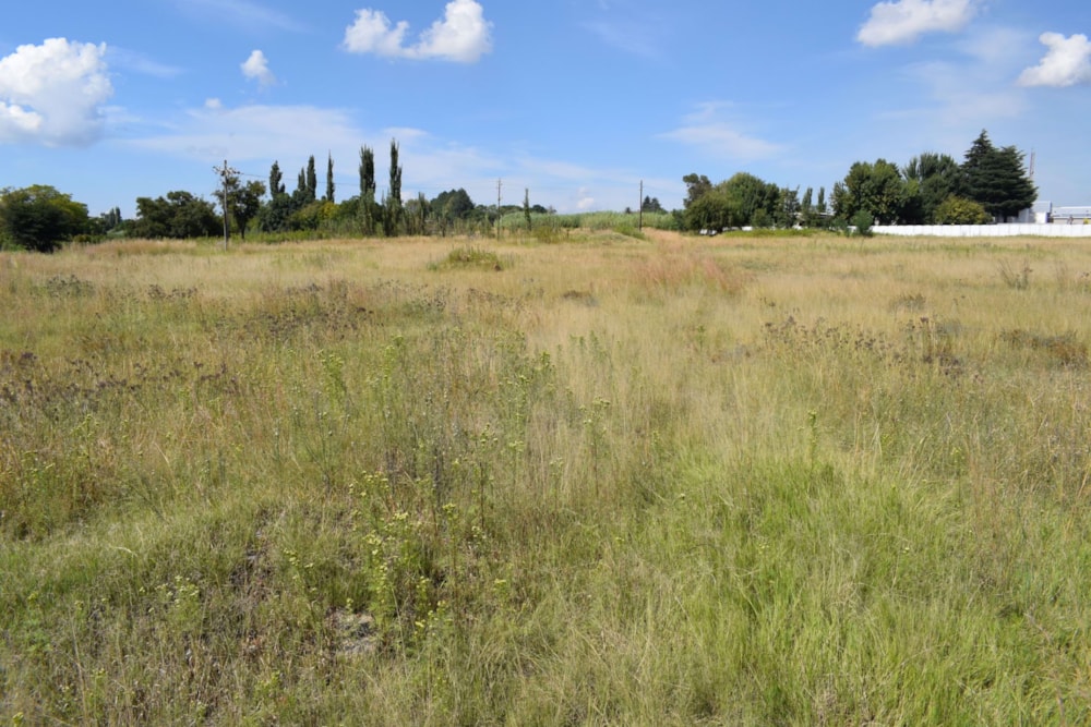 Farm vacant land for sale in Shalimar Ridge - 1SP1607443