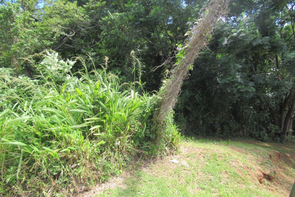 Residential vacant land for sale in Melville, Port Shepstone - 1PX1522072 Residential vacant land for sale in Melville, Port Shepstone - 1PX1522072