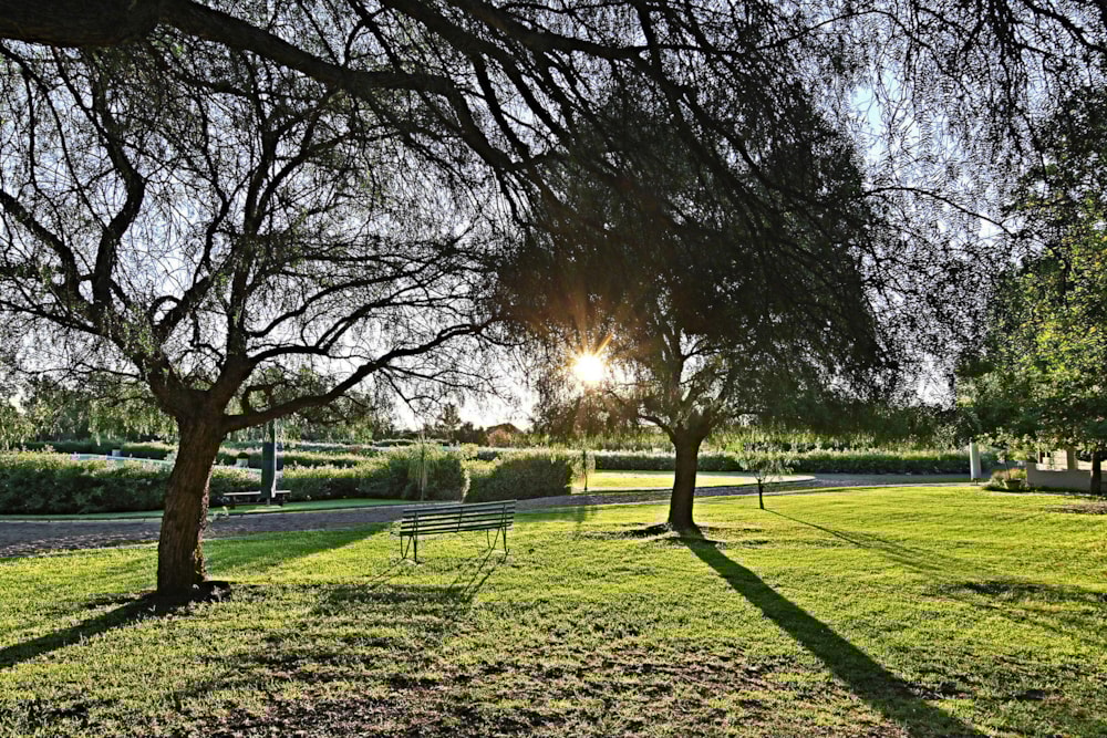 Equestrian farm for sale in Knopjeslaagte - MR1522880