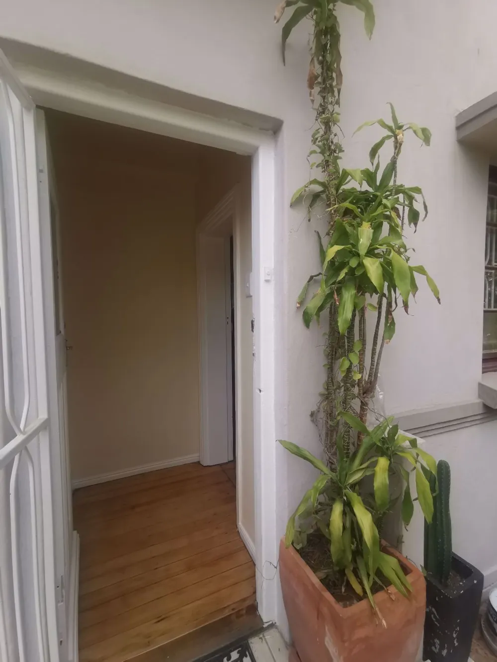Garden apartment to rent in Vredehoek - CBL1756125