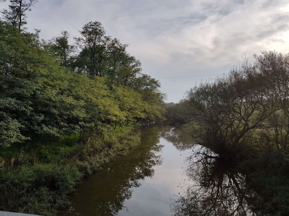 Mixed use farm for sale in Mooi River - 1PM1517227