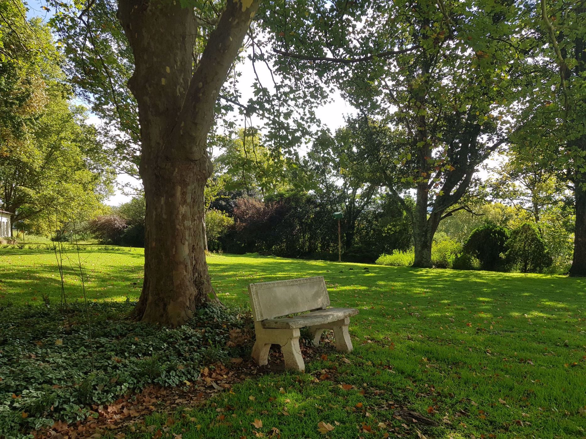 Mixed use farm for sale in Mooi River - 1PM1517227