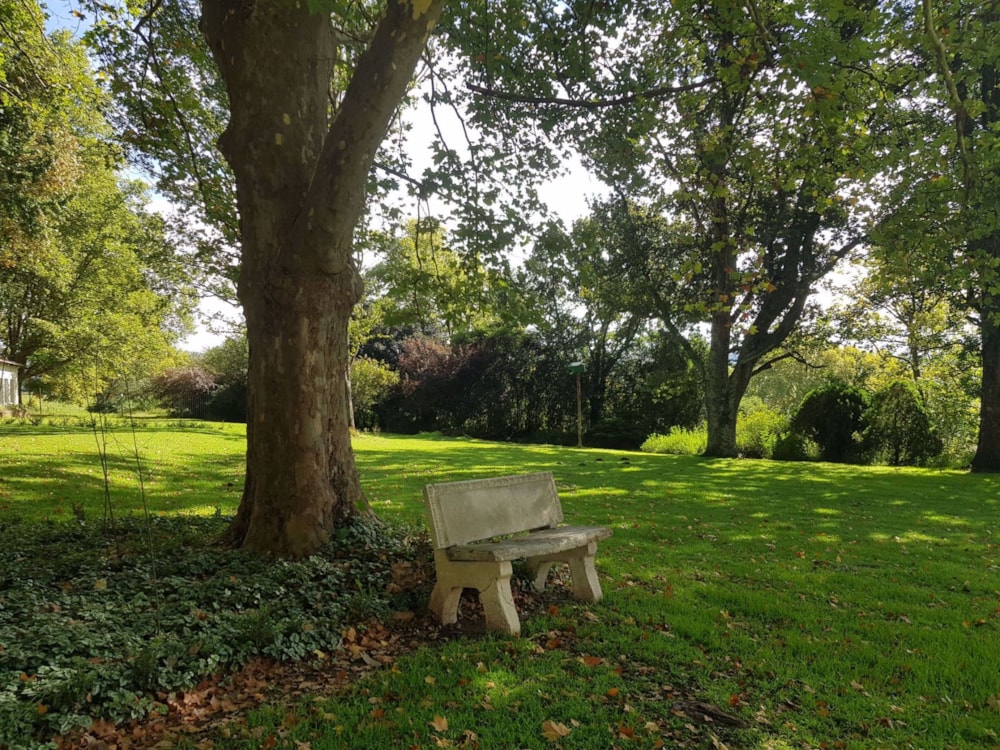 Mixed use farm for sale in Mooi River - 1PM1517227