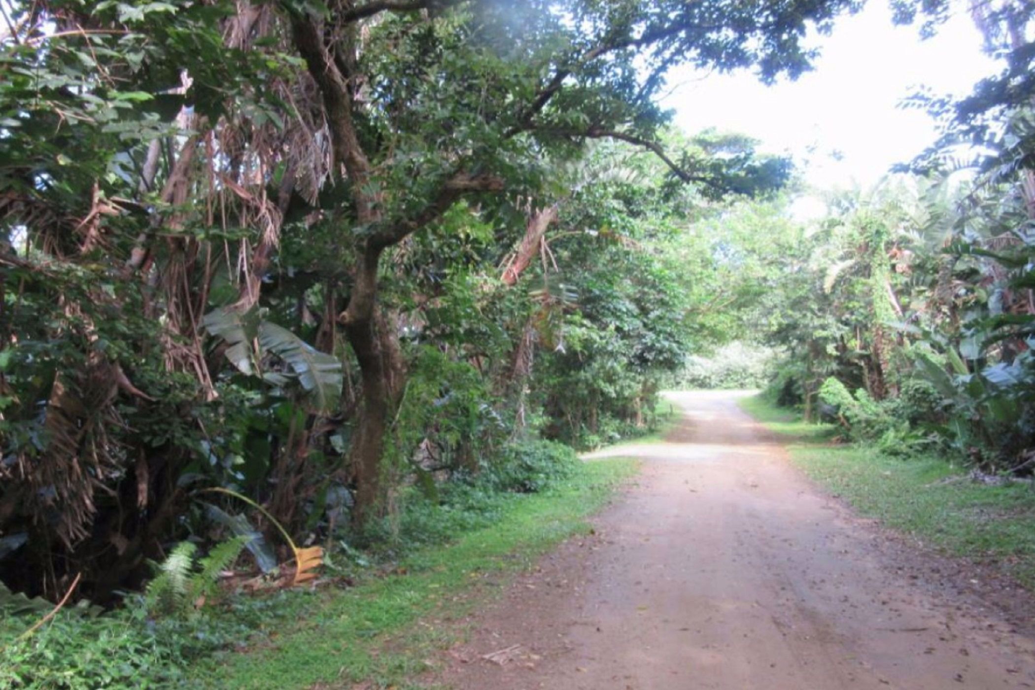 Residential vacant land for sale in Leisure Bay - 1PD1526536