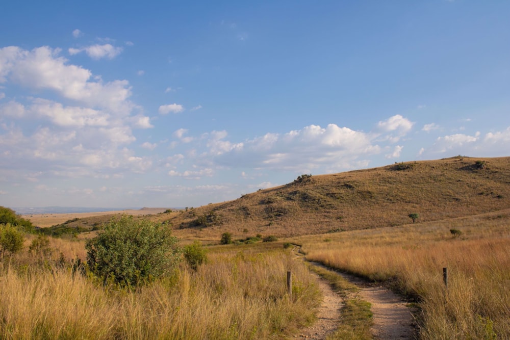 Mixed use farm sold in Kalkheuvel - 1HR1526589 Mixed use farm sold in Kalkheuvel - 1HR1526589