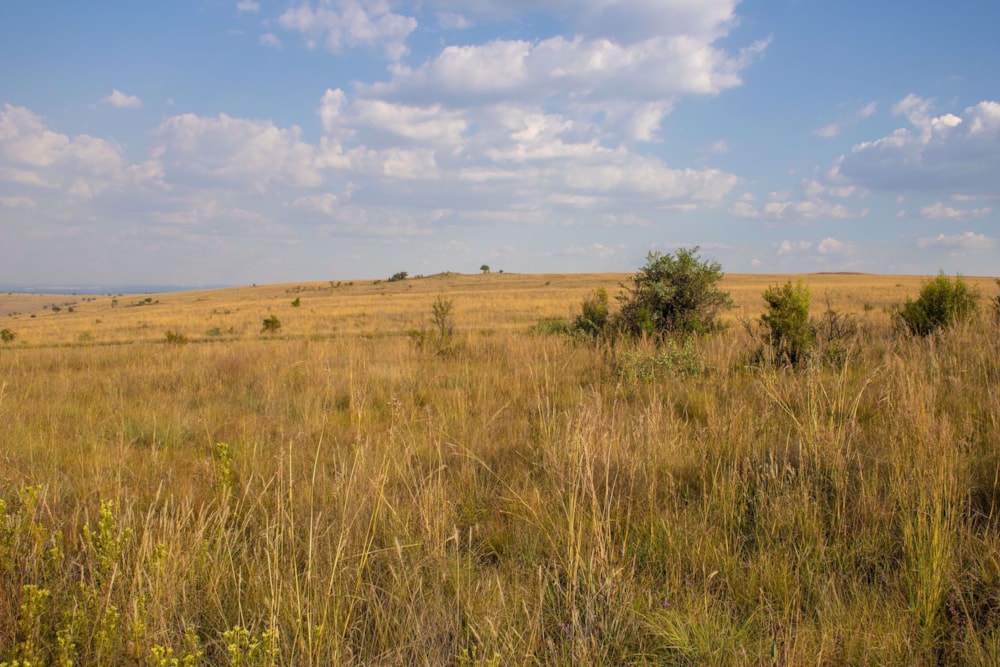 Mixed use farm sold in Kalkheuvel - 1HR1526589 Mixed use farm sold in Kalkheuvel - 1HR1526589