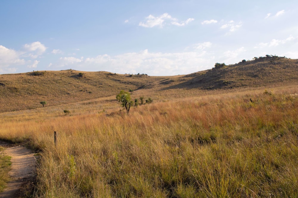 Mixed use farm sold in Kalkheuvel - 1HR1526589 Mixed use farm sold in Kalkheuvel - 1HR1526589