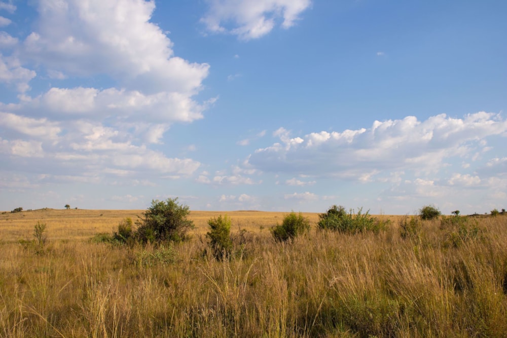 Mixed use farm sold in Kalkheuvel - 1HR1526589 Mixed use farm sold in Kalkheuvel - 1HR1526589