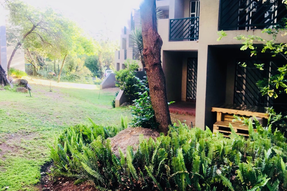 Studio apartment to rent in Bryanston - JBL1724700 Studio apartment to rent in Bryanston - JBL1724700