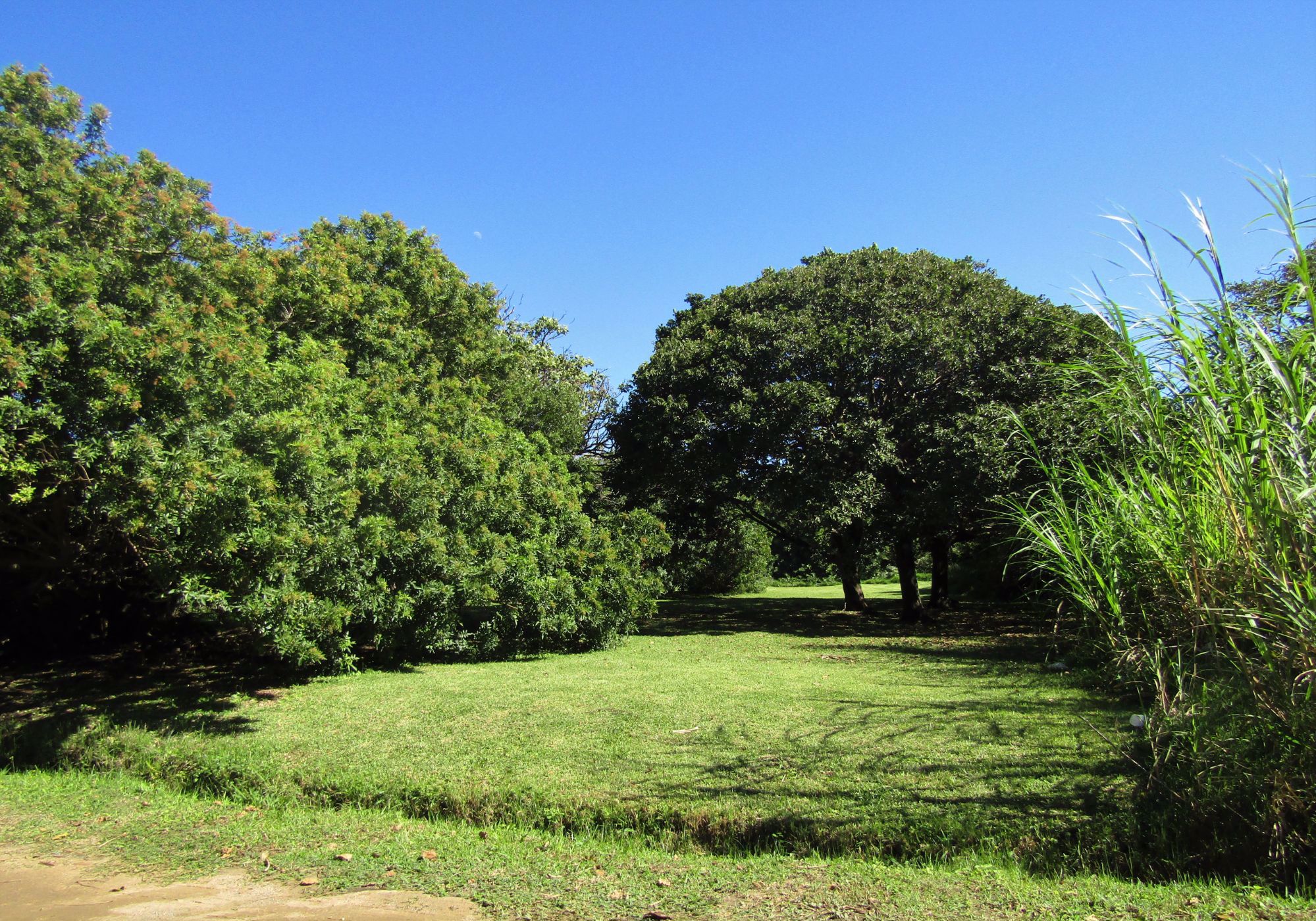 Residential vacant land for sale in Port Edward - 1PD1528634